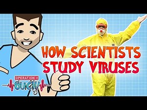 How Scientists Study Viruses | Operation Ouch