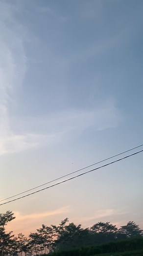 terminal2strokepati on TikTok