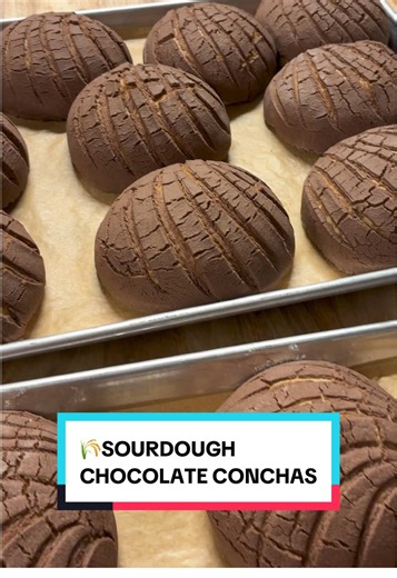 Sourdough Mexican Chocolate Conchas Recipe and Steps