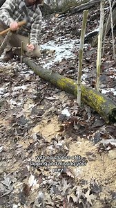 26K views · 364 reactions | 117_most plentiful critters around waterways. #fyp #survival #bushcraft #picturechallenge | Garden Idea | Facebook