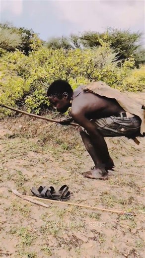 Caça com Arco Tribal 🏹 | आदिवासी तीर-कमान शिकार #shorts#viralvideo