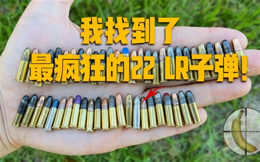 [中配]我找到了最疯狂的22 LR子弹！ - Banana Ballistics