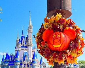 Photos AND Reviews: ALL the 2025 Fall and Halloween Treats in Disney World! | the disney food blog