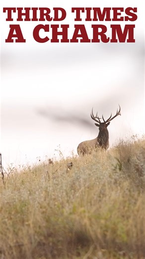 Riley Green and Matt Duff go on an epic elk hunt in Montana. After two tries, the third is a charm! Watch tonight at 5:30 PM, Only on YouTube! (Link will be in bio) | Major League Bowhunter