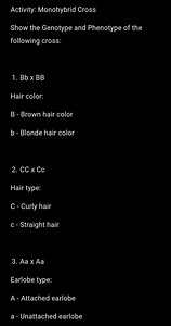 Activity: Monohybrid Cross For each cross, show the genotype a... | Filo