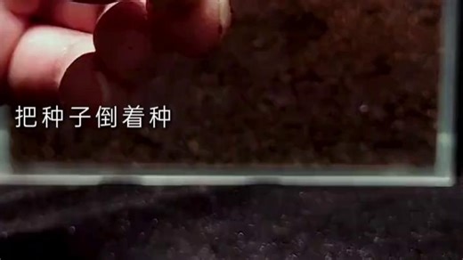 0098834a8956a83eb600e60c5ad2e6b7