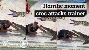 Horrific moment croc attacks trainer