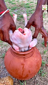 94M views · 199K reactions | Cooking Whole Chicken In Red Clay Pot Primitive Style | Rangers cooking show | Facebook