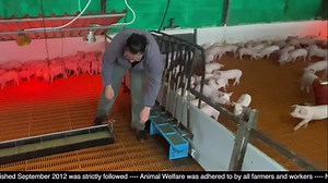 35 reactions | How to check your pens daily. | Zach | Facebook