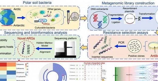 iMeta | 中山大学陈保卫组-解析极地土壤中抗生素新型抗性基因_腾讯新闻