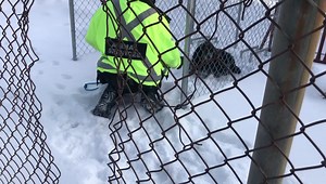 1.9M views · 95K reactions | Lost and found Christmas Day miracle!...