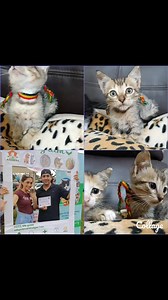 Chanel se fue a un bonito hogar responsable ayer en la feria Expo Macotas  Esperamos que sean muy felices ♥️ GRACIAS X ADOPTAR  | Adopción Animal Guayaquil - AG | Facebook