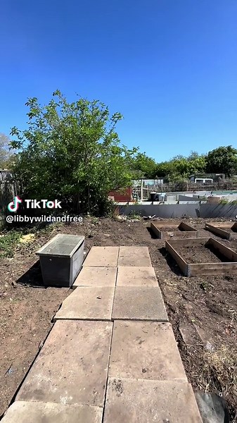 libbysallotment on TikTok