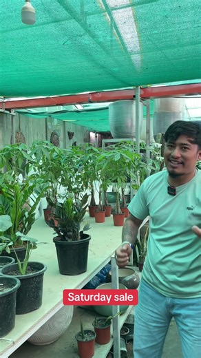 Saturday Sale: Outdoor & Indoor Plants