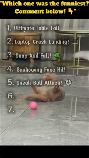 #funny #cat #bestmoments #fails #shorts