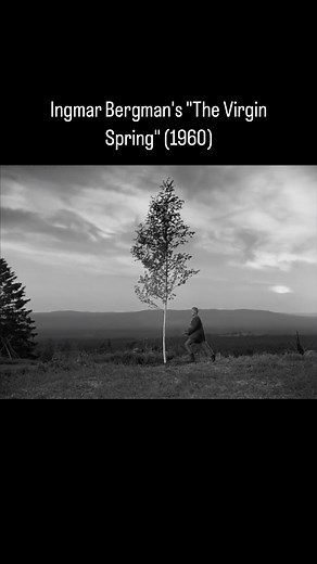 Ingmar Bergman’s “The Virgin Spring” (1960) Bergman’s collaboration with cinematographer Sven Nykvist in “The Virgin Spring” is pivotal in creating the film’s haunting aesthetic. The use of natural light and shadow plays a crucial role in establishing mood and emphasizing emotional depth. Nykvist’s mastery of composition captures the serene beauty of the rural setting while simultaneously reflecting the underlying darkness of the narrative. Additionally, the film’s influence can be seen in subse
