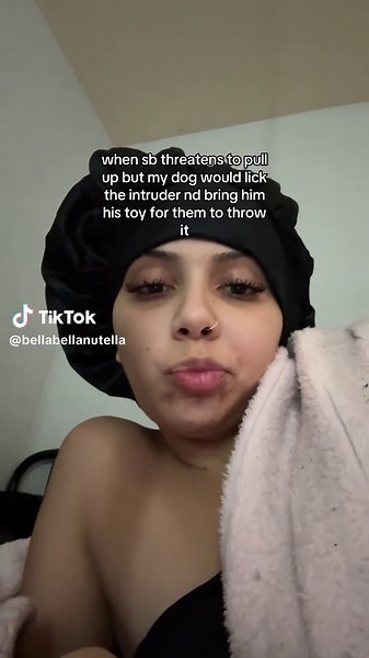 Hilarious Shorkie Dog Antics and Home Security