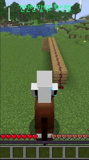 간단한 말 속도 확인법 #마인크래프트 #minecraft #실험 #궁금한 #좋아요 #구독