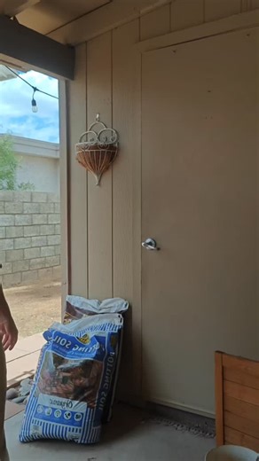 Blair Bini on Instagram: "I love this mister but it's kind of a pain to use sometimes haha I use it to water my seedlings so I dont disturb them. 🪴"