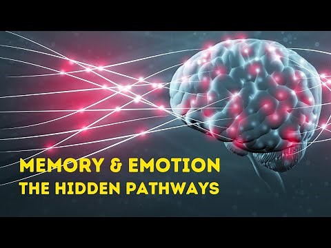 Memory and Identity: Discover the Secret Links in Your Brain | Documentary