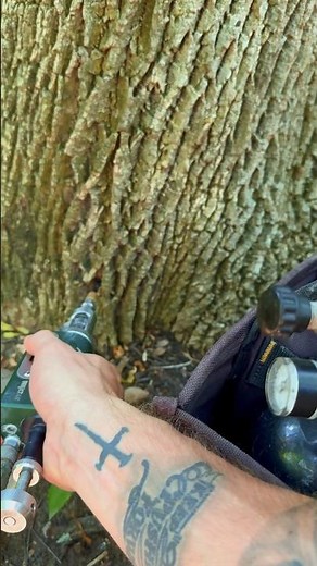 Tree Nutrient Injection- Arborjet