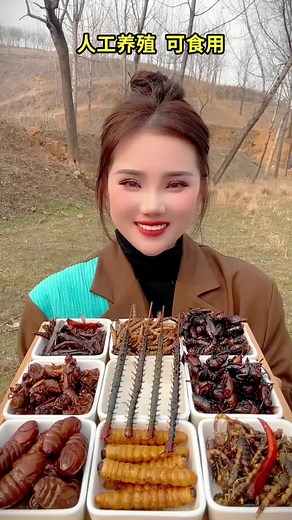 Eat scorpion, woodworm, silkworm chrysalis, cicada, barley pest, centipede, etc. #fyp #instagram #asmr #asmrmaker #foryoupage #foryou #asmrsounds #asmrvideo #asmrfood #asmrtiktoks #chinesefoodie #chineseasmr #chineseasmreating #stressrelief #stressrelieftips #stressreliefsound #mukbang #mukbangchina #mukbangasmr #asmrmukbang #mukbanger #insects #eatinsects #eatinginsects #insectseating #scorpion #woodworm #silkwormchrysalis #cicada #barleypest #centipede #eating #asmreating #eatingasmr #eatingsh