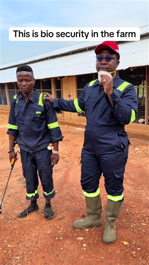 Essential Biosecurity Practices for Your Farm