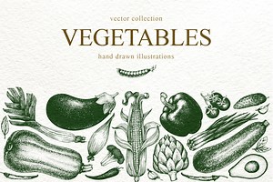 Vegetable Vector Collection, a Food Illustration by Lubov Illustrations Shop