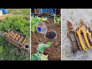 Why Smart Gardeners Use Cardboard, Bottles, and Vinegar in The Garden
