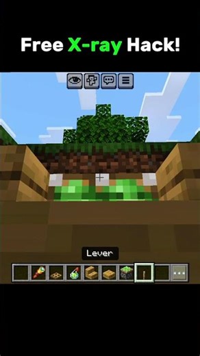 free x- ray hack #minecraft #shortfeed #hack #shorts