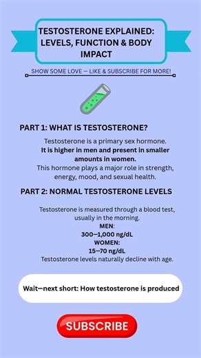Testosterone Explained: Levels, Functions & Body Impact#health #testosterone#menshealth #womenhealth