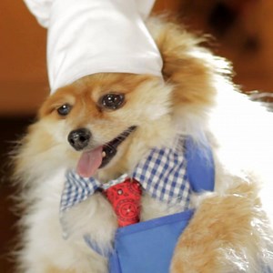 75K views · 642 reactions | Try these tasty teeth cleaning dental...