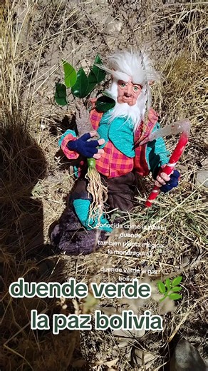 La planta mágica Duende Verde en La Paz, Bolivia
