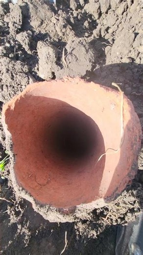 replacing main sewer line #plumbing