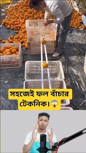 Easy Techniques to Save Fruits