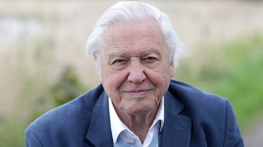 David Attenborough facts: TV presenter's age, wife, children and career explained