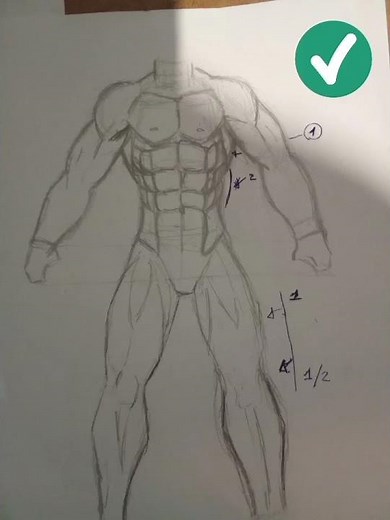 #apprendre à dessiner# l'anatomie du corps des homme musclé