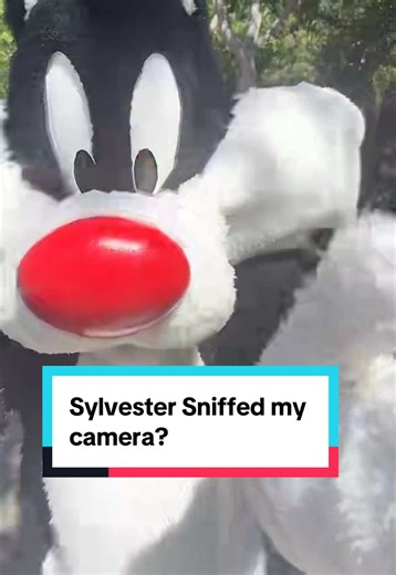 Sylvester the Cat at Six Flags Magic Mountain