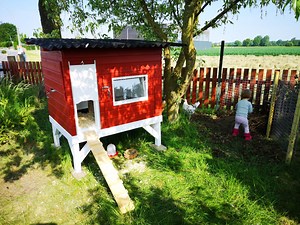 Hühnerklappe automatisch (LDR-Modul)