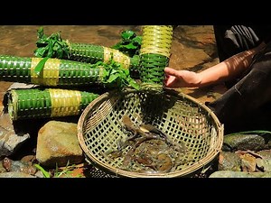 Survival Challenge - Survival Alone in the Rainforest | EP.63 - Fish trap, shrimp trap