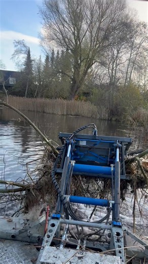 Allan Michael Pedersen on Reels