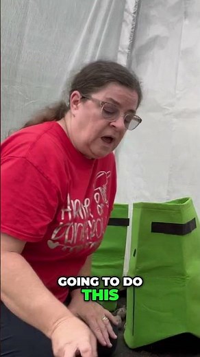 Plant Potatoes Easily in Grow Bags: Simple Gardening Tips