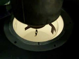 The Drosophila Flight Simulator