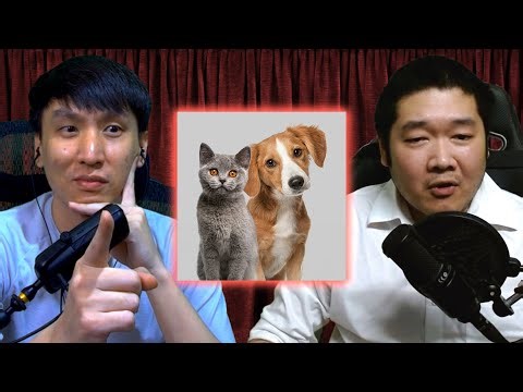 Bangkok is piloting a pet registration program. Don't miss out! | bigboung