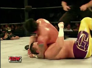 22 reactions | KELLY KELLY WANTS TO DANCE FOR CM PUNK Swear her and...