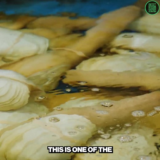 158K views · 1.6K reactions | I Challenged Two Chefs With This!  | Best Ever Food Review Show | Facebook