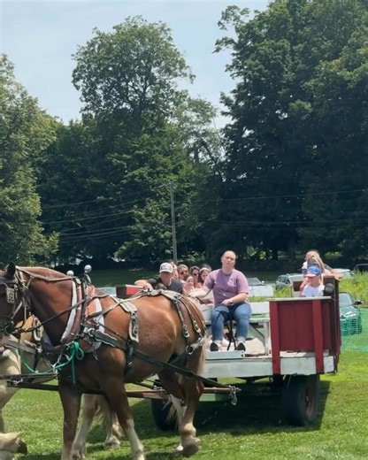 🍑THIS SATURDAY we celebrate THE PEACH!🍑 The 2025 Lyman Orchards Peach Festival is happening from 10:00am-4:00pm at the Apple Barrel Farm Market! Visit https://lymanorchards.com/event/peach-festival-2025/ to see the schedule of events and we will see you SATURDAY!!🍑 | Lyman Orchards