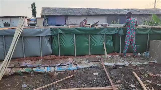 Building a Successful Fish Farm from Scratch