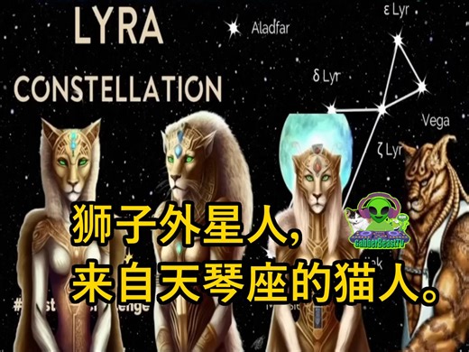 狮子外星人，来自天琴座的猫人 外星人 奇闻 科学 科普 生活记录 科普 军队 信息披露 lion alien cat people from LYRA