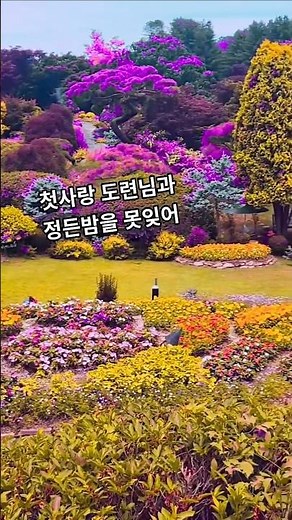 #카츄샤#김준규#주현미#트로트#듀엣#가수#노래#커버#연주#기타